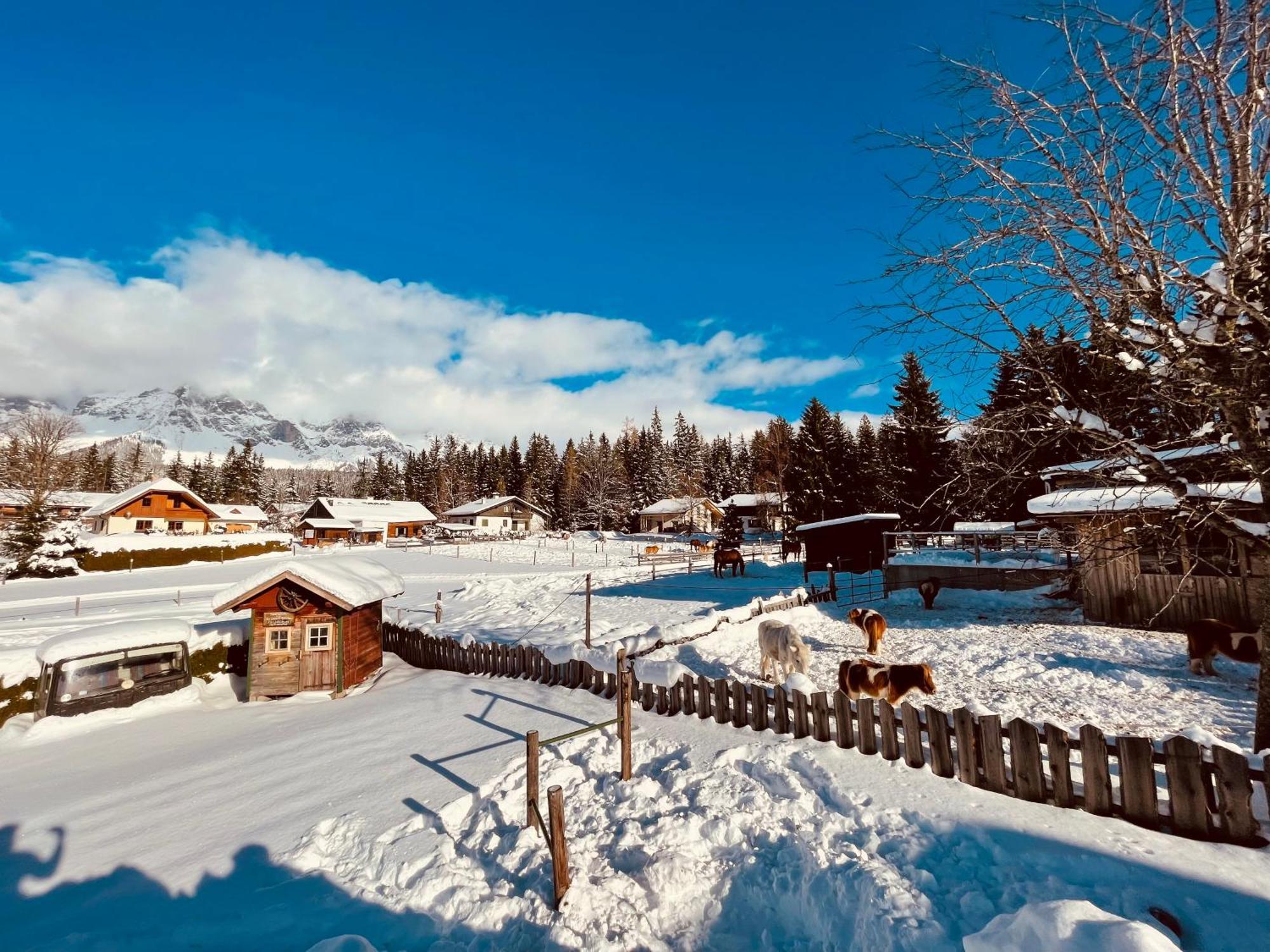 Hotel Vorberghof Ramsau am Dachstein Exterior foto